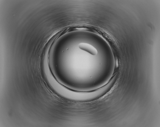X0000113001162200908271341