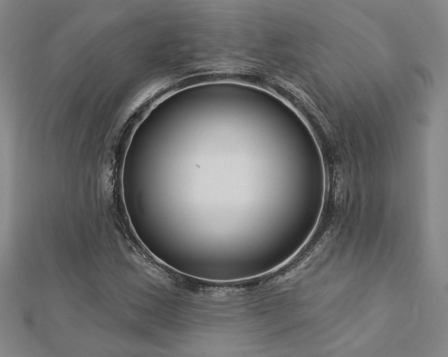 X0000113001163200908271341