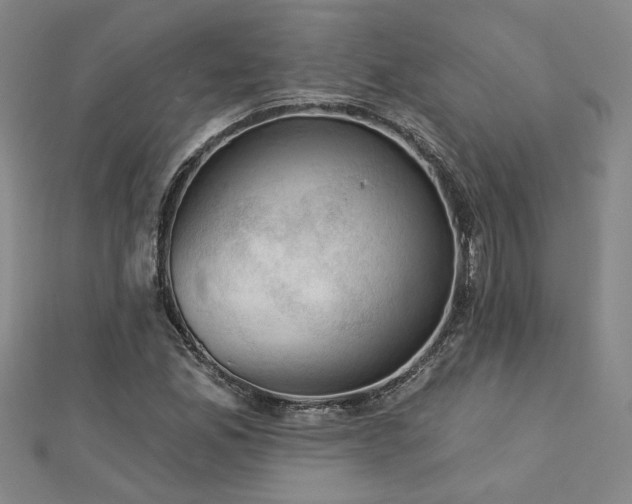 X0000113001165200908271341