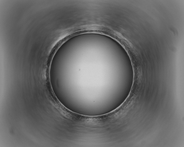 X0000113001166200908271341