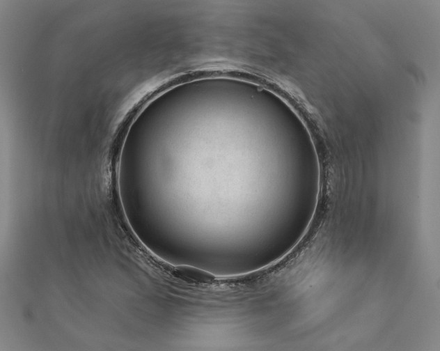 X0000113001167200908271341