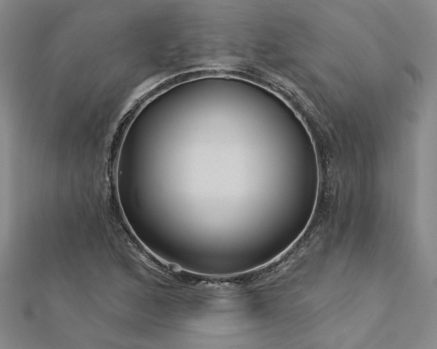 X0000113001168200908271341