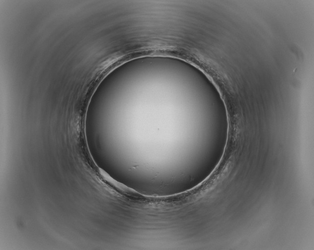 X0000113001169200908271341