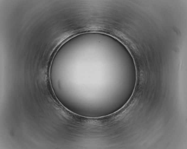 X0000113001170200908271341