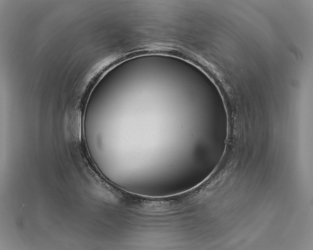 X0000113001171200908271341