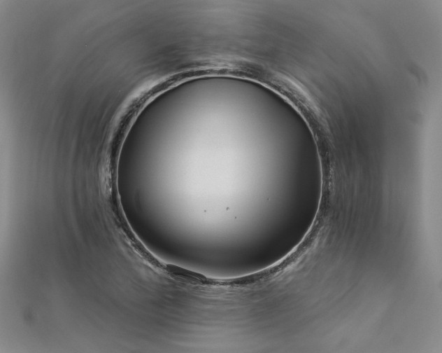 X0000113001172200908271341