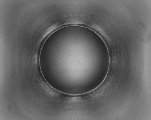 X0000113001173200908271341