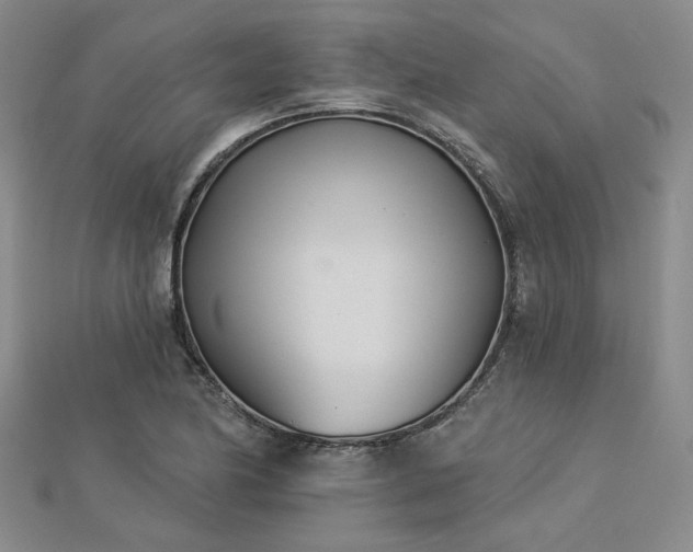 X0000113001174200908271341