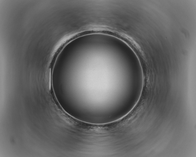 X0000113001175200908271341