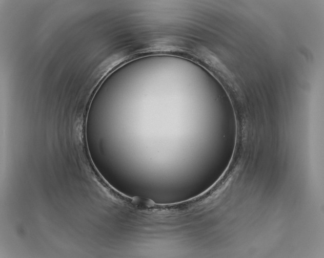 X0000113001177200908271341