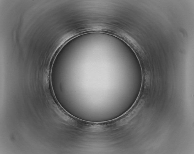 X0000113001178200908271341