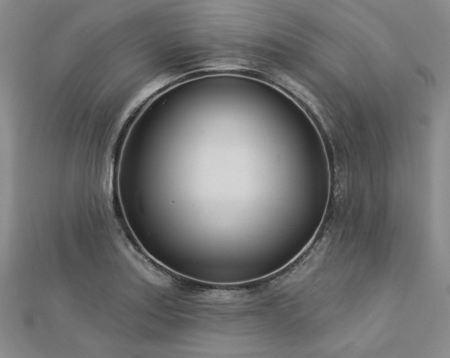 X0000113001179200908271341