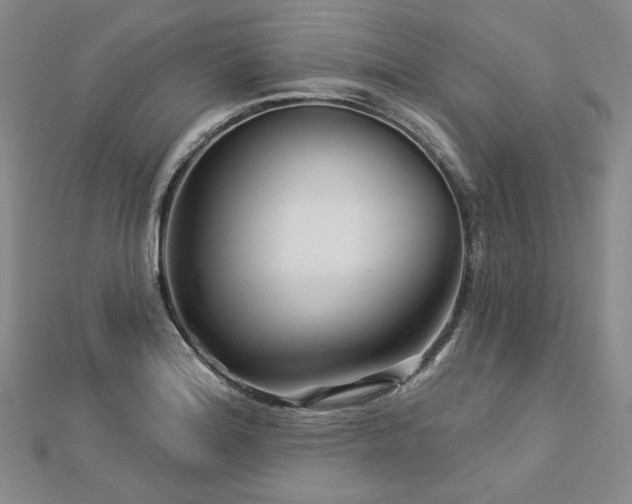 X0000113001180200908271341