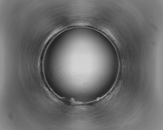 X0000113001181200908271341