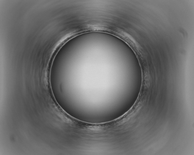 X0000113001182200908271341