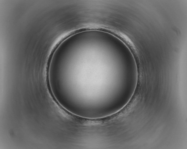 X0000113001183200908271341