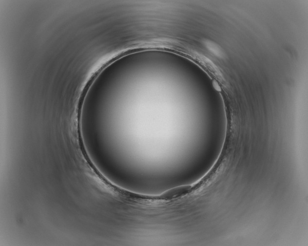 X0000113001184200908271341