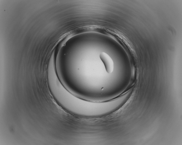 X0000113001185200908271341