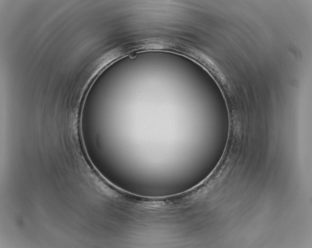 X0000113001186200908271340