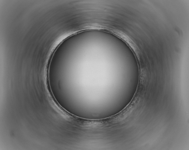 X0000113001187200908271340