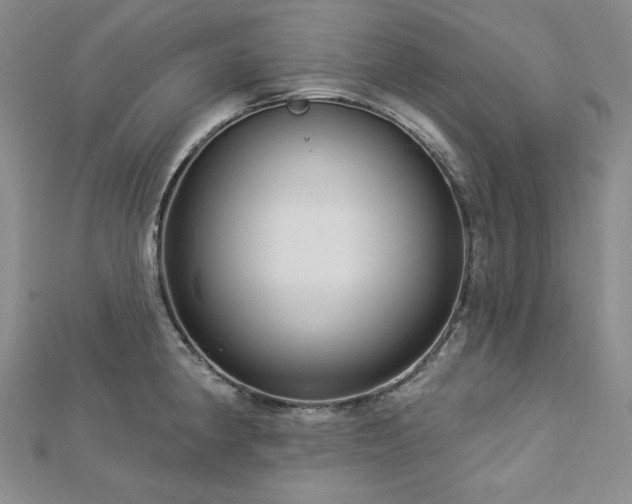 X0000113001190200908271340