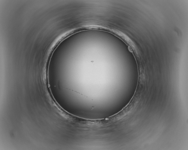 X0000113001191200908271340
