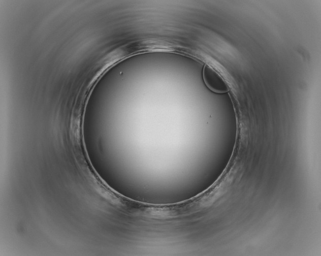 X0000113001194200908271340