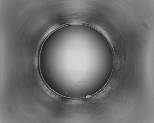 X0000113001195200908271340