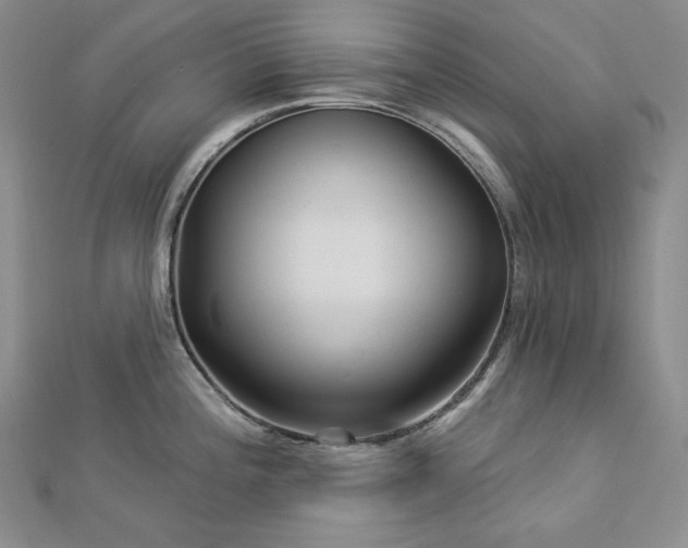 X0000113001196200908271340