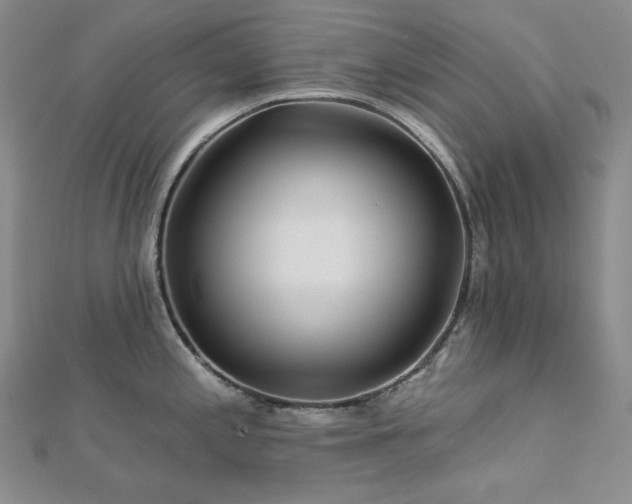 X0000113001197200908271340
