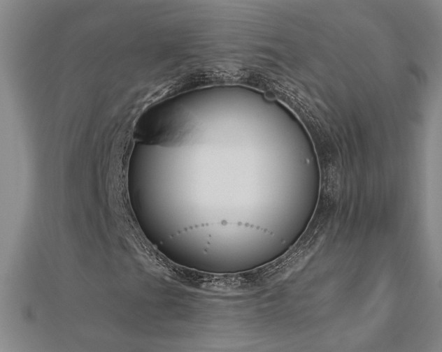 X0000113001201200908271340