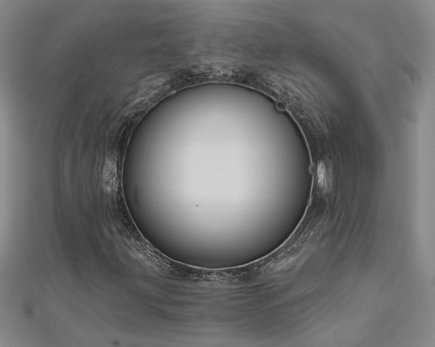 X0000113001203200908271340