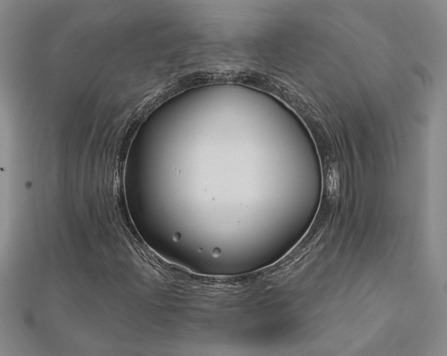 X0000113001204200908271340
