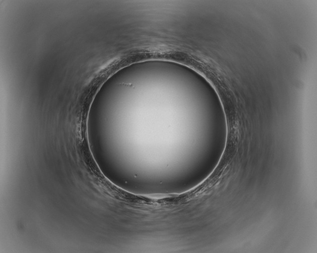 X0000113001205200908271340