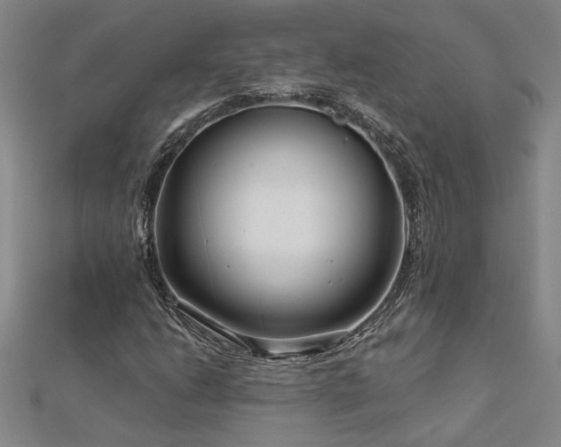 X0000113001206200908271340