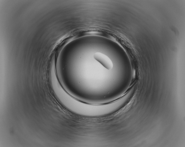 X0000113001210200908271340