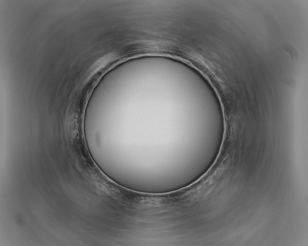 X0000113001211200908271340