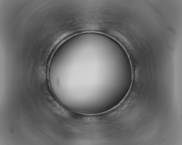 X0000113001212200908271340