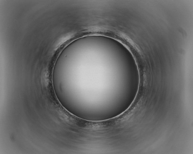 X0000113001213200908271340