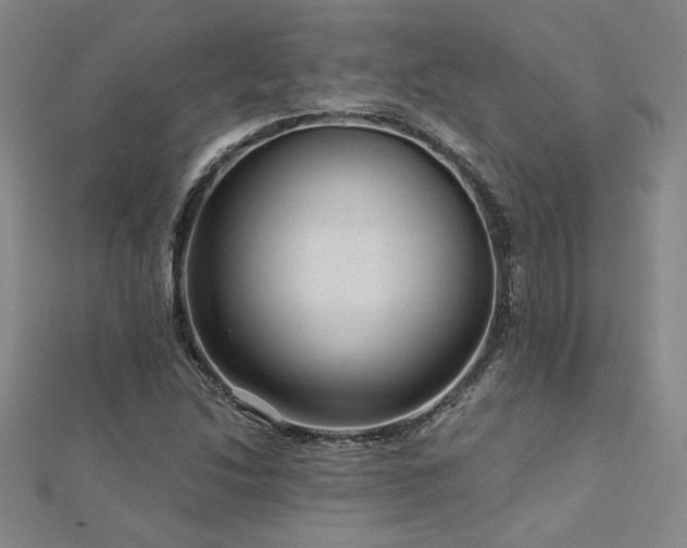 X0000113001214200908271340
