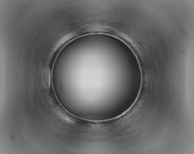 X0000113001219200908271340