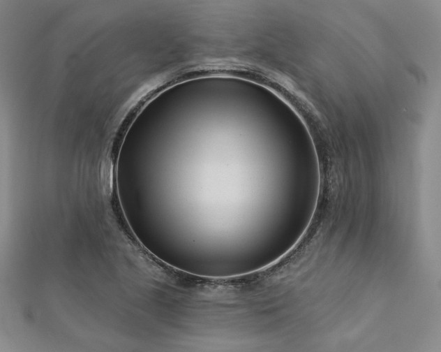 X0000113001221200908271340