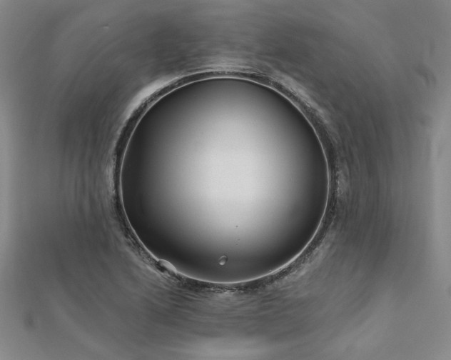 X0000113001222200908271340
