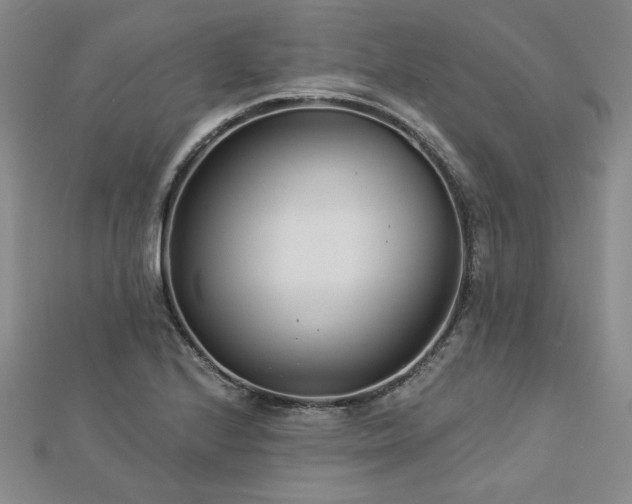 X0000113001224200908271340