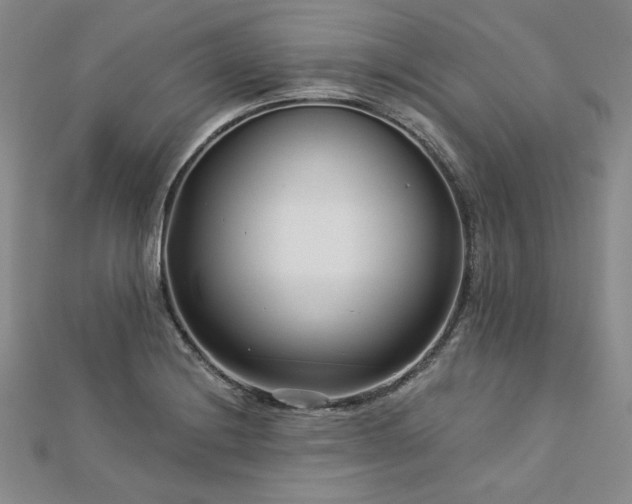 X0000113001228200908271340
