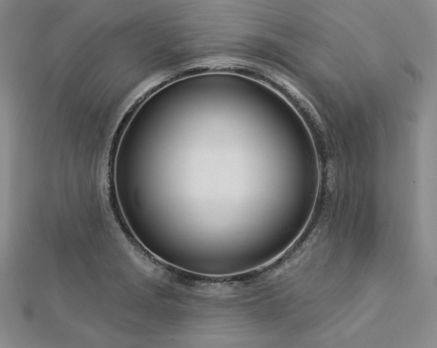 X0000113001229200908271340