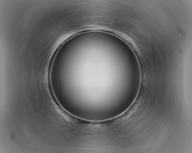 X0000113001231200908271340