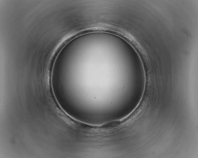 X0000113001232200908271340