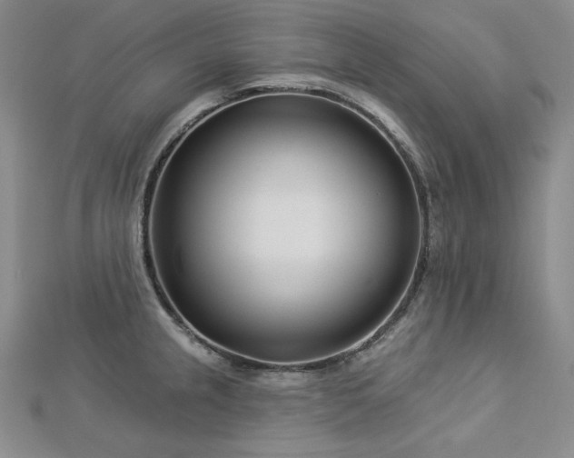 X0000113001237200908271340