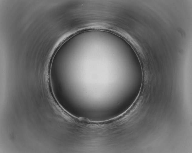 X0000113001240200908271340